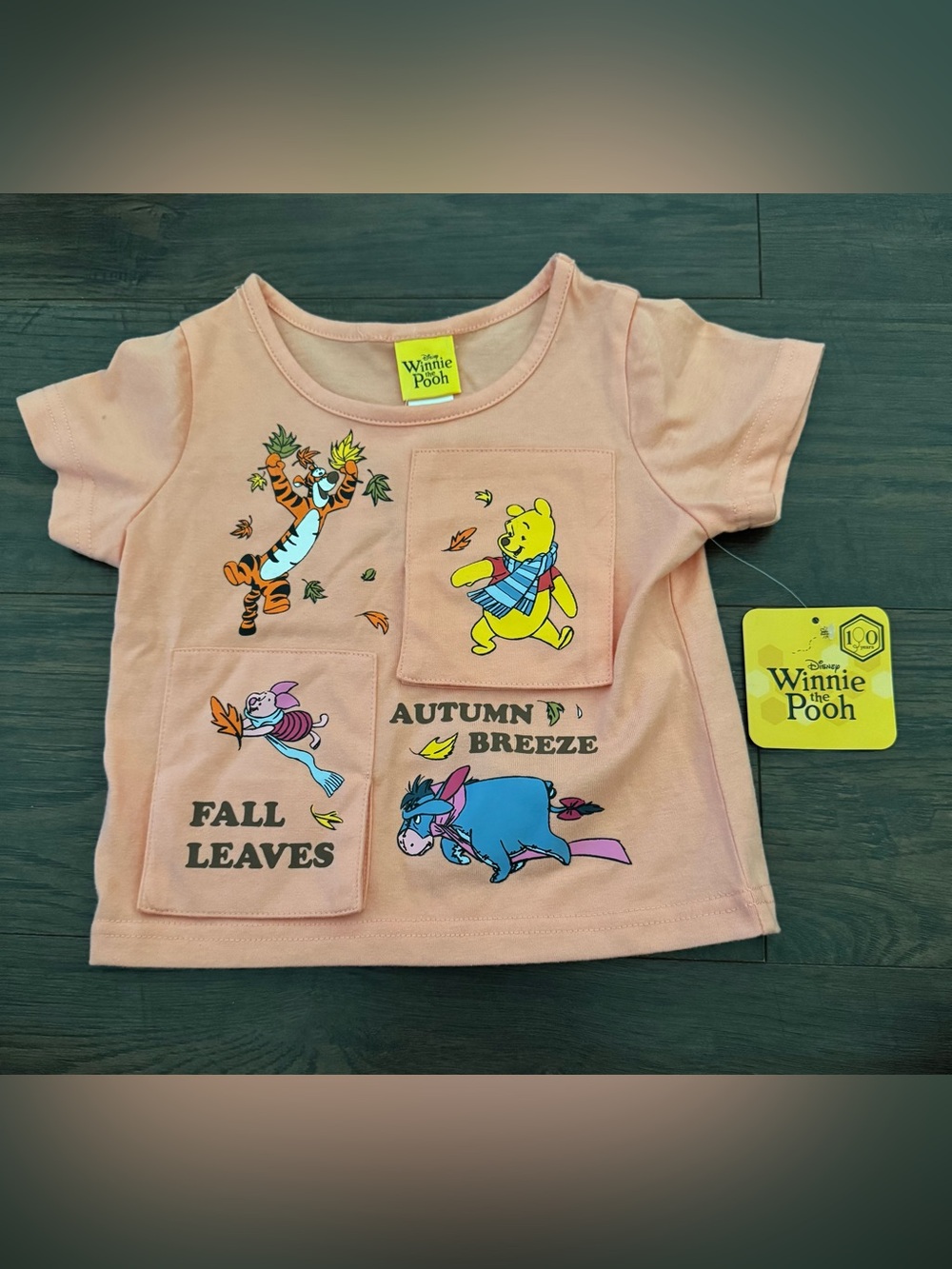 Disneys Winnie the Pooh interactive flip shirt | 2T | NWT